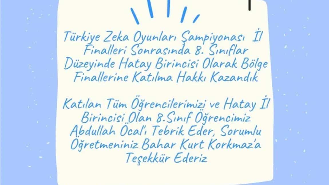 Türkiye Zeka Oyunları Şampiyonasında İl Birinciliği